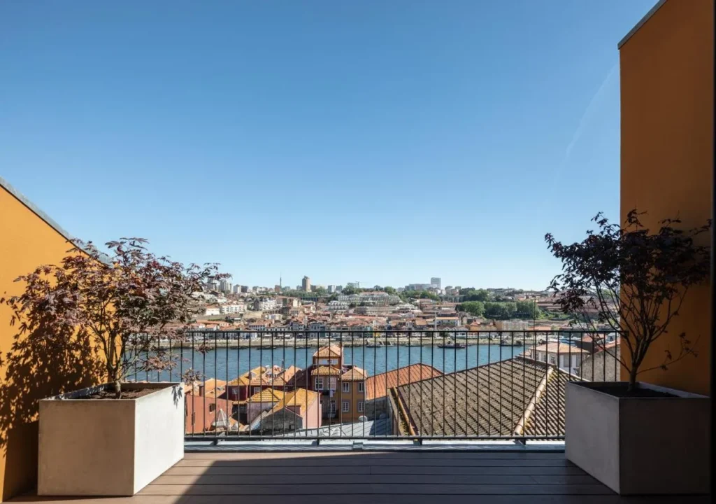Rooftop terrace with potted plants overlooking a scenic city and river under a clear blue sky.